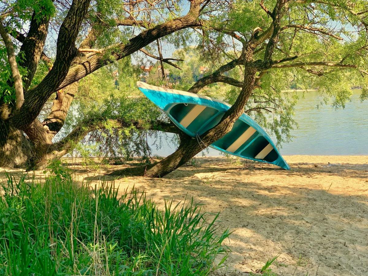 Nadi'S Holiday Home - Heart Of Woods, Szentendre Island Szigetmonostor エクステリア 写真