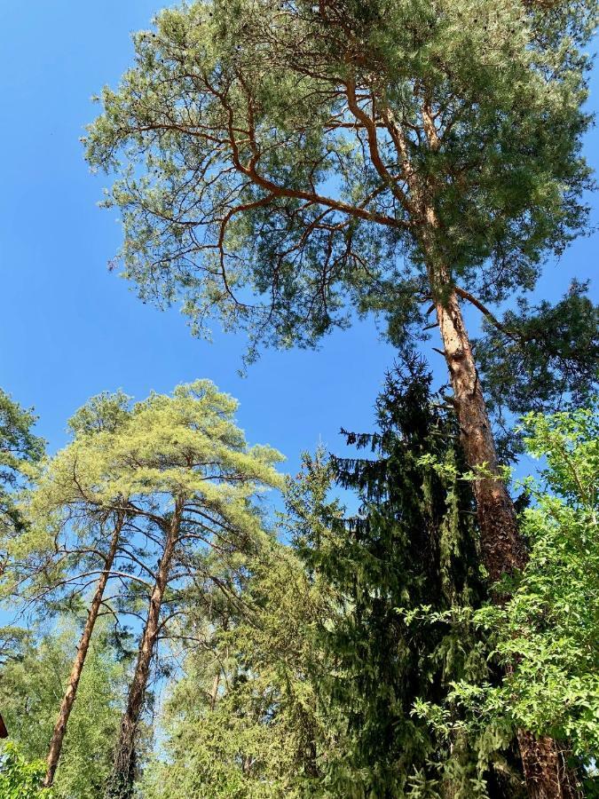 Nadi'S Holiday Home - Heart Of Woods, Szentendre Island Szigetmonostor エクステリア 写真