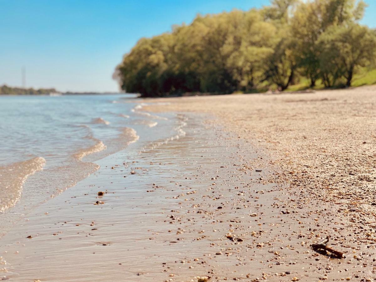 Nadi'S Holiday Home - Heart Of Woods, Szentendre Island Szigetmonostor エクステリア 写真