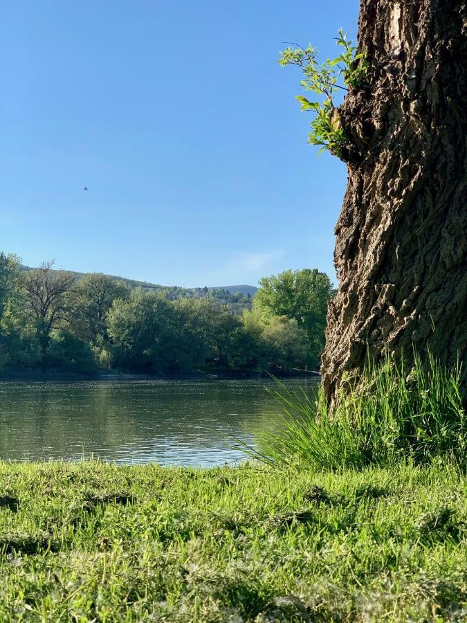 Nadi'S Holiday Home - Heart Of Woods, Szentendre Island Szigetmonostor エクステリア 写真