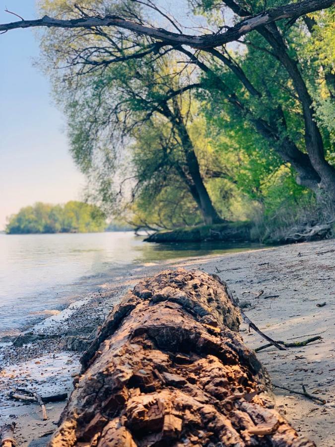 Nadi'S Holiday Home - Heart Of Woods, Szentendre Island Szigetmonostor エクステリア 写真