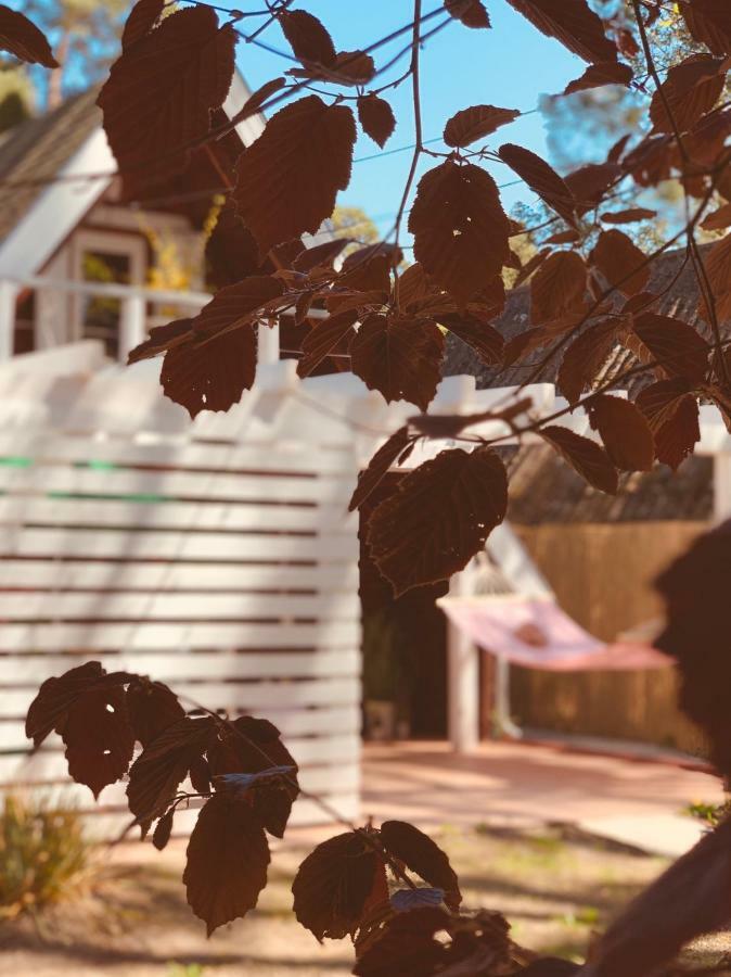 Nadi'S Holiday Home - Heart Of Woods, Szentendre Island Szigetmonostor エクステリア 写真