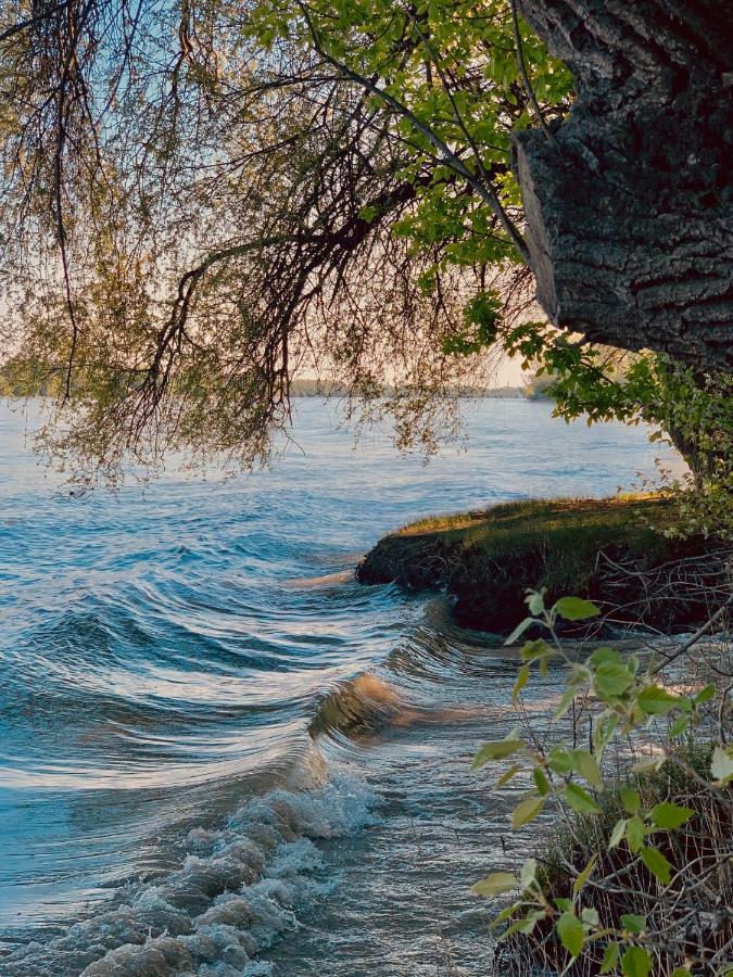 Nadi'S Holiday Home - Heart Of Woods, Szentendre Island Szigetmonostor エクステリア 写真